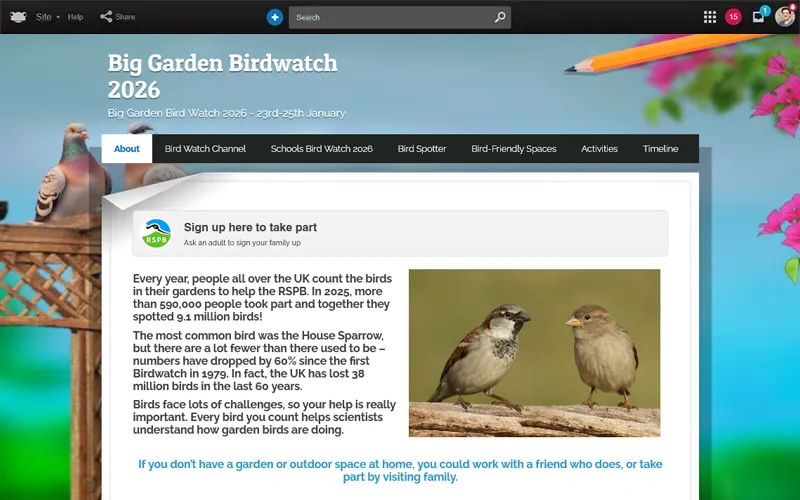 BirdWatch-1.webp