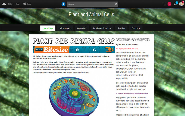 Plant-and-animal-cells.jpg